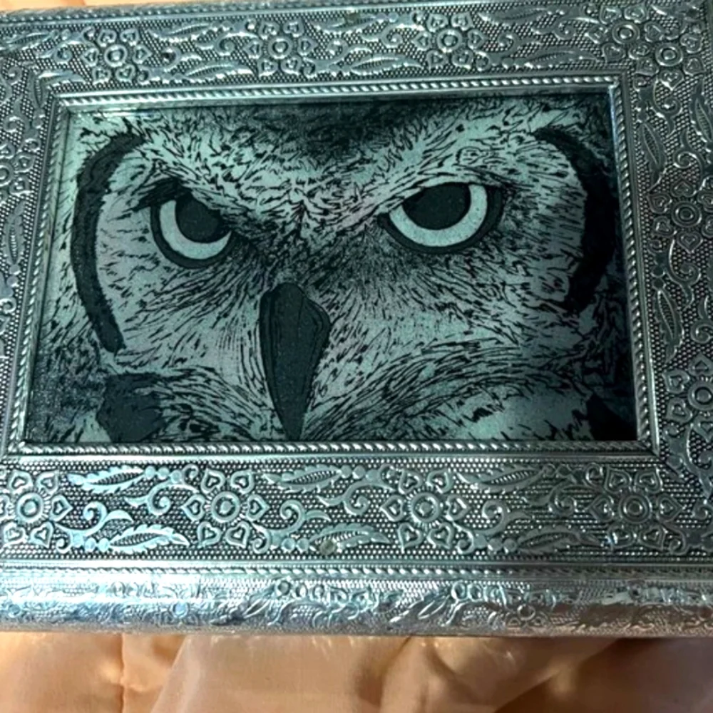 Owl Shungite Aluminum Jewelry box